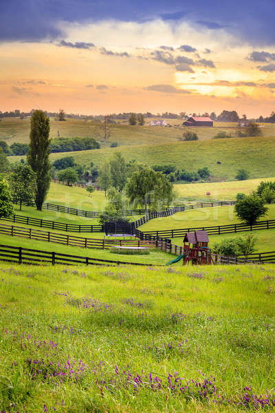 Wiejski Kentucky piękna wieczór scena trawy Zdjęcia stock © alexeys