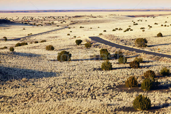 Desert Highway Stock photo © alexeys