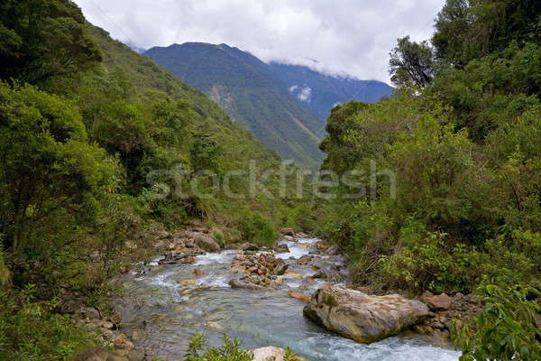 River in the Andes Stock photo © alexeys