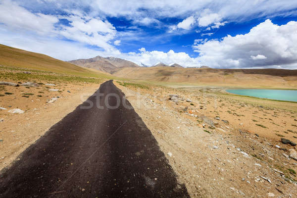 Road in Himalayas Stock photo © alexeys