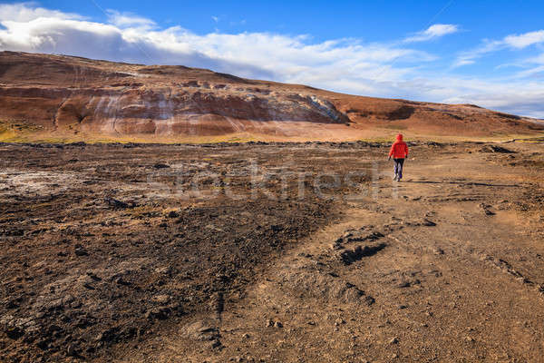 Geothermal field Stock photo © alexeys