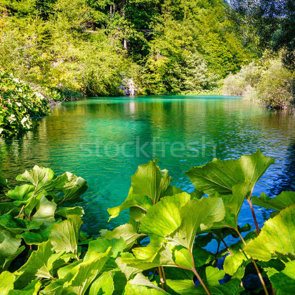 Parku mały sceniczny staw lasu krajobraz Zdjęcia stock © alexeys