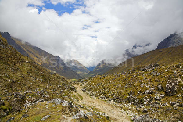 Trail in the Andes Stock photo © alexeys