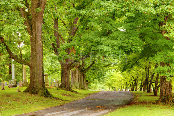 Alley at a cemetery  Stock photo © alexeys