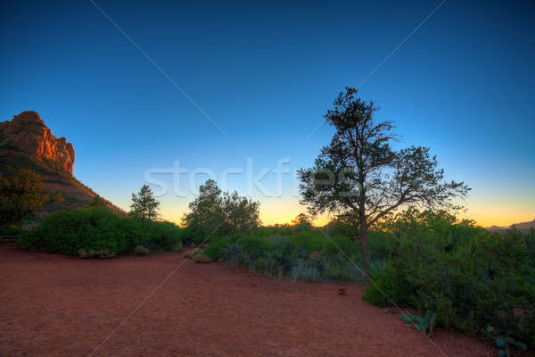 Stockfoto: Zonsondergang · park · schilderachtig · natuur · woestijn · bomen