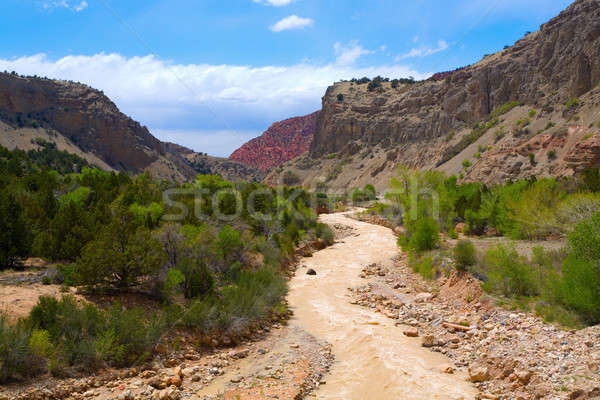 Rushing River in Zion Stock photo © alexeys