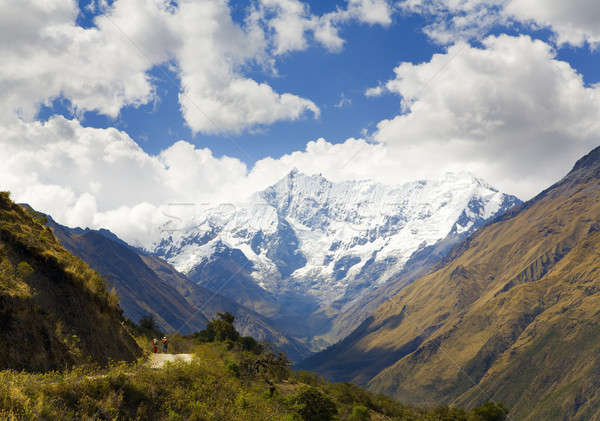 In the Andes Stock photo © alexeys
