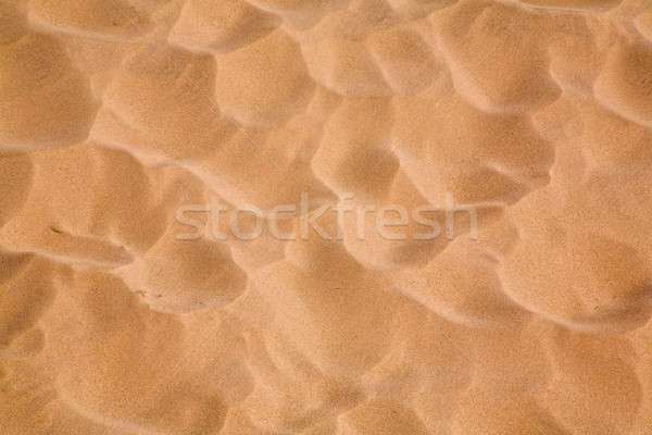 Sand Stock photo © alexeys