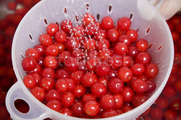 Washing cherries Stock photo © alexeys