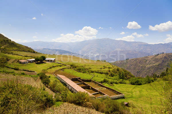 Peruvian farm Stock photo © alexeys