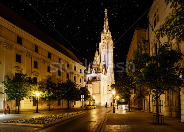 St. Matthias Church in Budapest at night Stock photo © alexeys