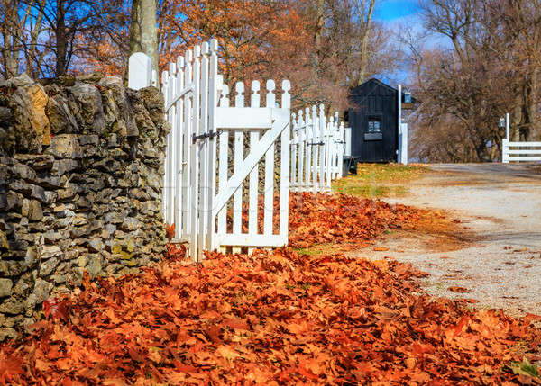 Késő ősz Kentucky kő kerítés fehér Stock fotó © alexeys