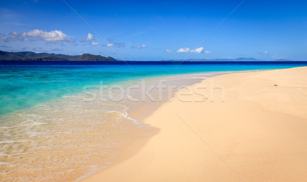 Plage tropicale île vide idyllique plage faible [[stock_photo]] © alexeys