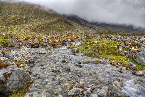 Mountain spring Stock photo © alexeys
