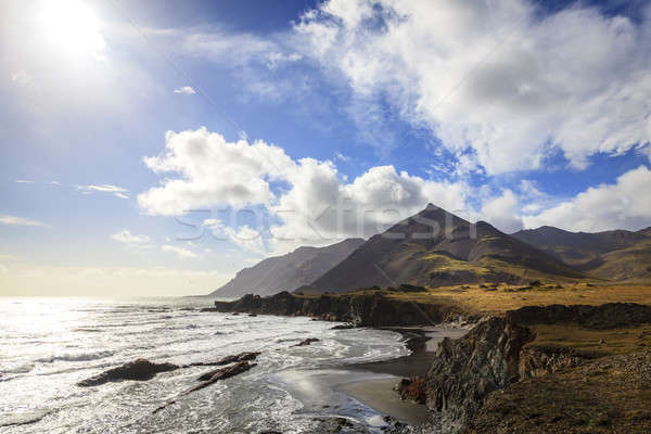 Southern coast of Iceland Stock photo © alexeys