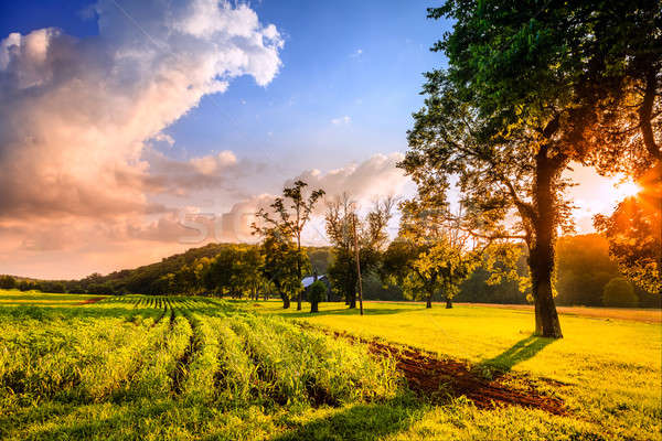 Scena rurala frumos scena rural Kentucky Imagine de stoc © alexeys