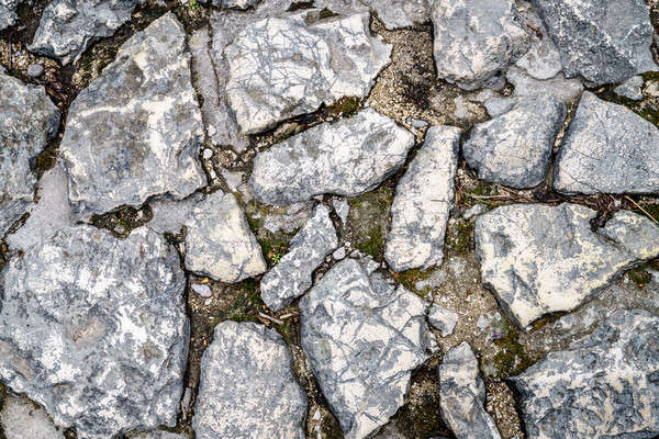 Cobblestone background Stock photo © alexeys