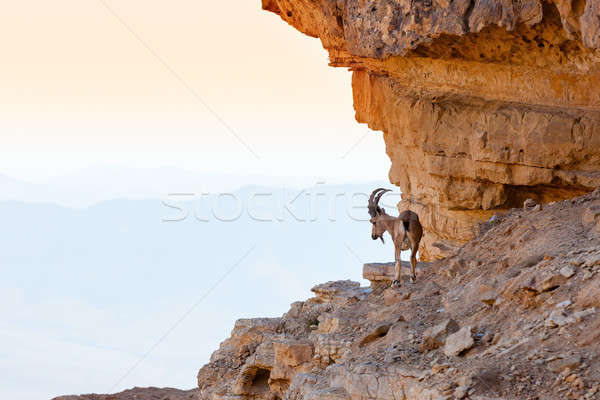 Foto stock: Cratera · deserto · Israel · natureza · belo