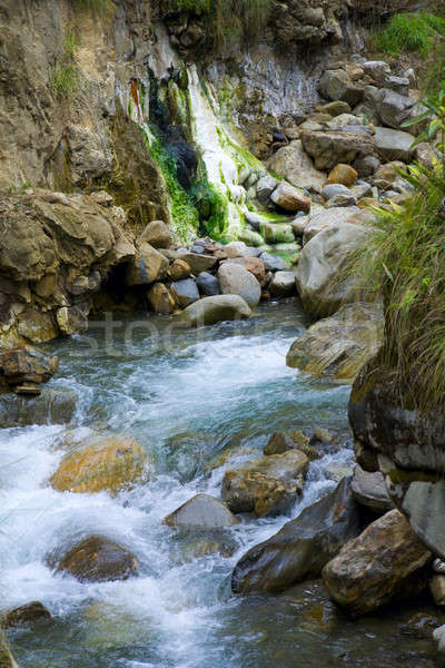 Mountain stream Stock photo © alexeys