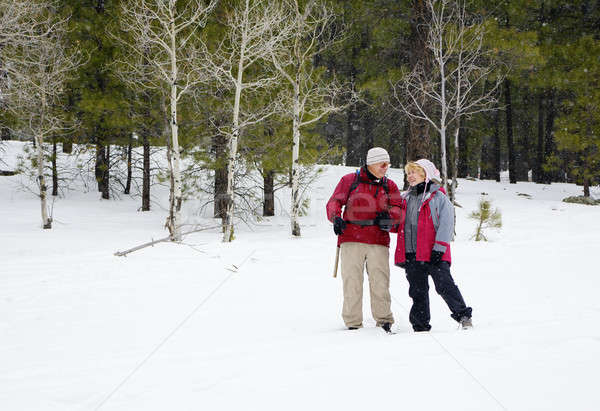 Ativo aposentados casal jogar neve amor Foto stock © alexeys