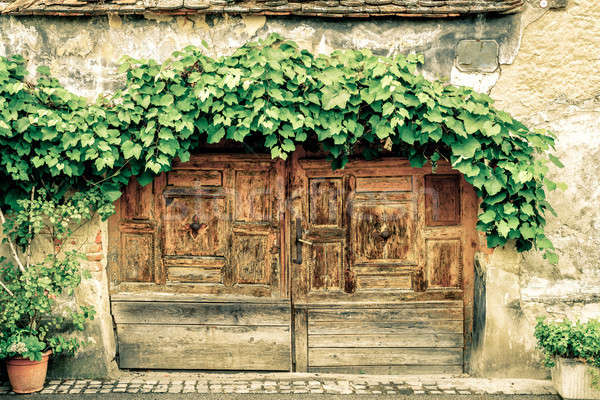 Foto stock: Puerta · de · uva · vid · edad · Zagreb