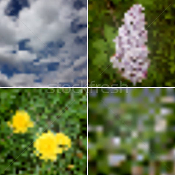 4 Vector  Blurred Summer Backgrounds Stock photo © alexmakarova