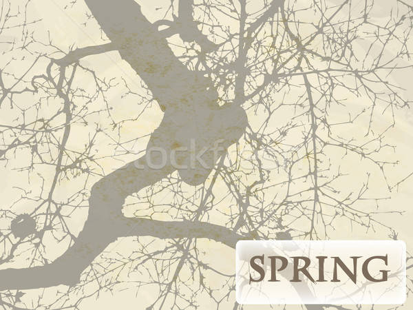 вектора весны дерево гранж текстур бумаги лист Сток-фото © alexmakarova