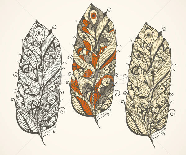 Vector Doodle  Feathers Stock photo © alexmakarova