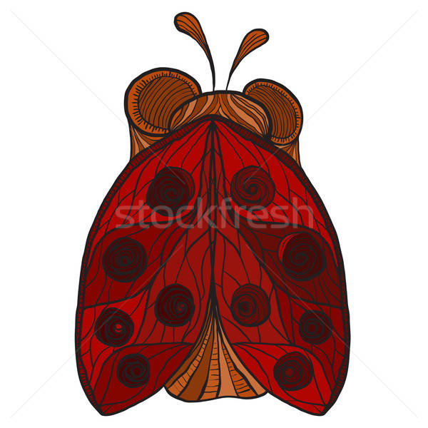 vector stylized ladybug Stock photo © alexmakarova