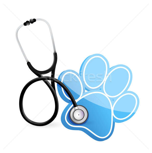 veterinarian with a Stethoscope illustration design over white Stock photo © alexmillos