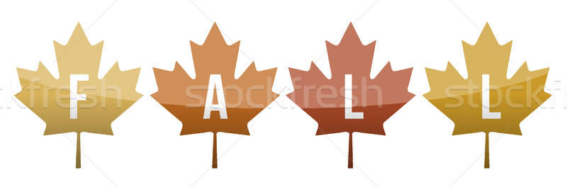 Fall leaves illustration design  Stock photo © alexmillos