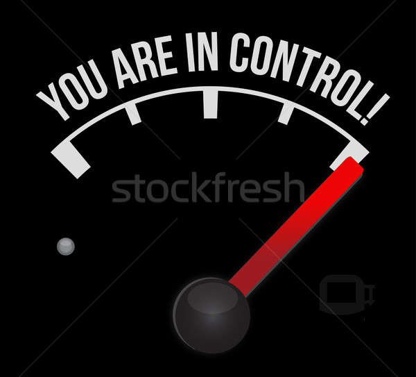 Speedometer with the words You're in Control  Stock photo © alexmillos