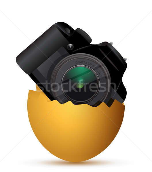 camera inside a broken egg Stock photo © alexmillos