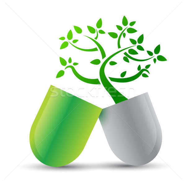 pill with nature ingredients illustration design over white Stock photo © alexmillos