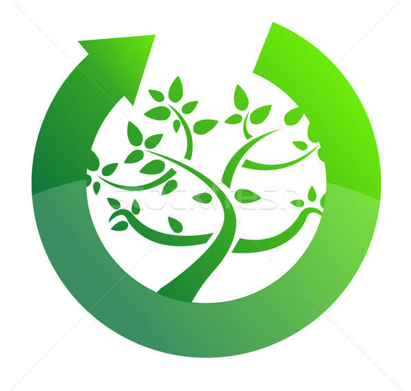 tree cycle recycle concept illustration design on white Stock photo © alexmillos