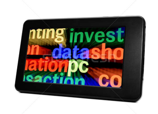 pc data invest Stock photo © alexskopje