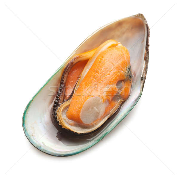 Green mussel Stock photo © Alexstar