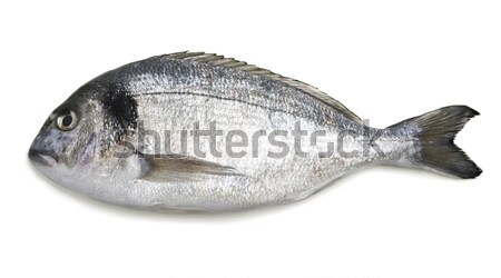 Ryb biały żywności morza jeść owoce morza Zdjęcia stock © Alexstar