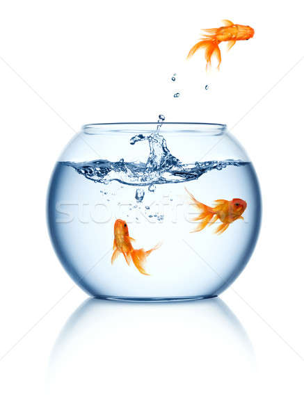 Goldfish jumping out of the fishbowl  Stock photo © Alexstar