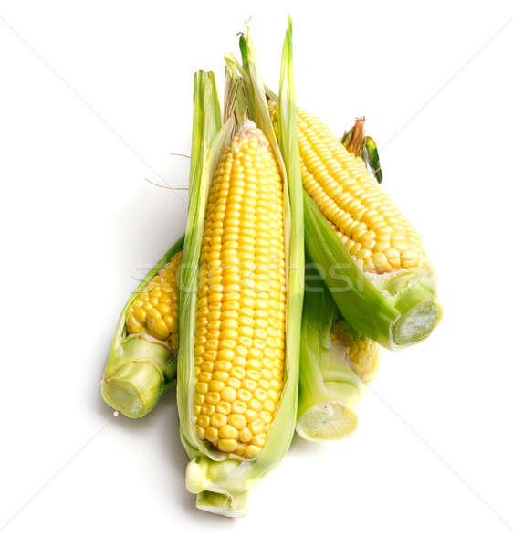 Foto stock: Maíz · alimentos · fondo · oído · agricultura · vegetales