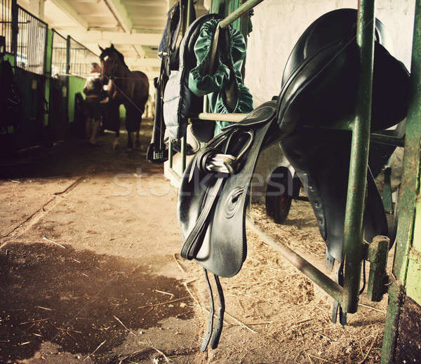 Estable silla de montar mujer pared granja animales Foto stock © Aliftin