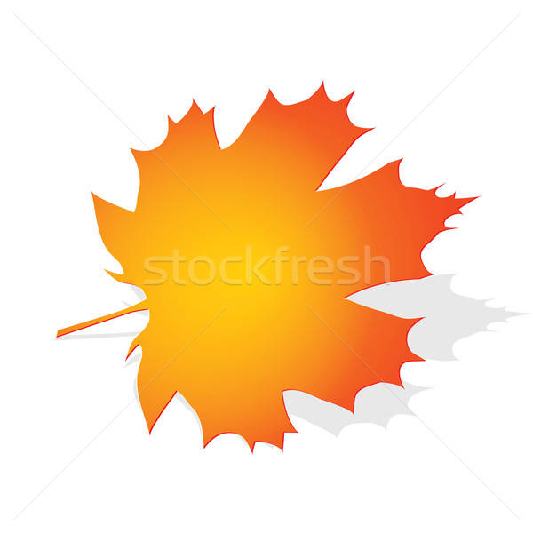 Autumn maple leaf Stock photo © Alina12