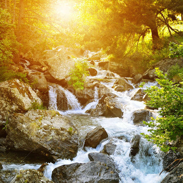 mountain river, forest and bright sun Stock photo © alinamd