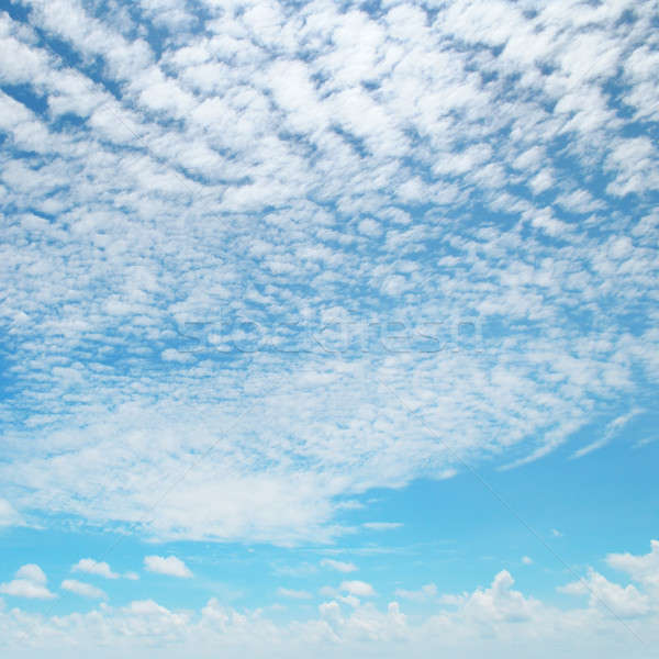 light cumulus clouds in the blue sky Stock photo © alinamd