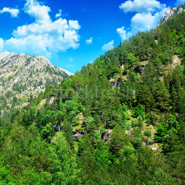 Stok fotoğraf: Güzel · dağ · manzara · mavi · gökyüzü · bulutlar · orman