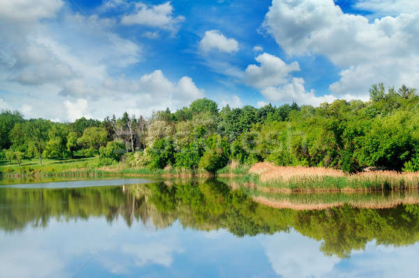 [[stock_photo]]: Lac · été · forêt · banques · ciel · pittoresque