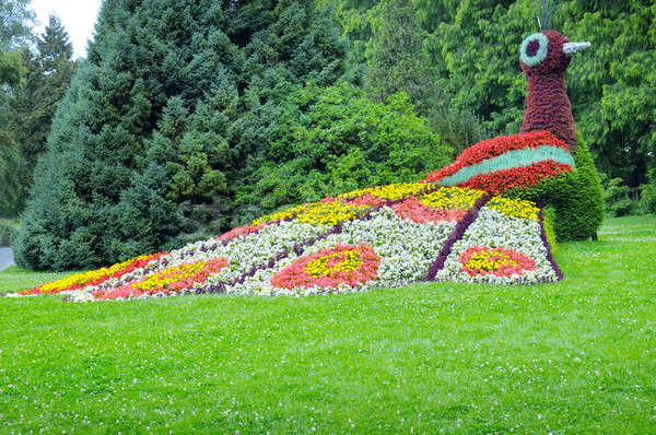 Cama de flores forma pavo real flor hierba diseno Foto stock © alinamd