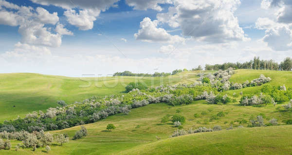 Malowniczy wzgórza Błękitne niebo wiosną trawy charakter Zdjęcia stock © alinamd