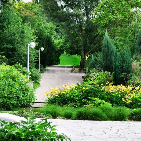 beautiful park  Stock photo © alinamd