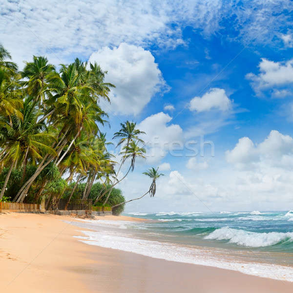 Océan pittoresque plage ciel bleu ciel eau [[stock_photo]] © alinamd